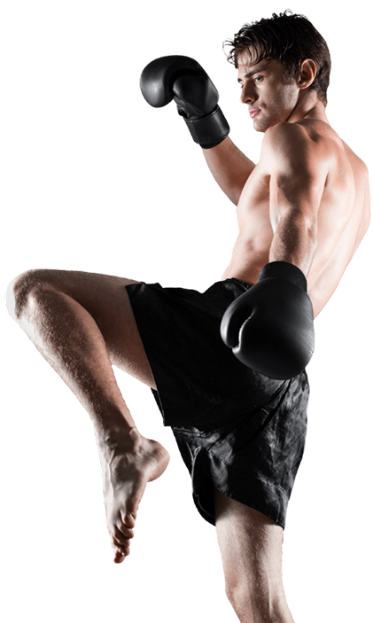 Professional Kickboxing Training